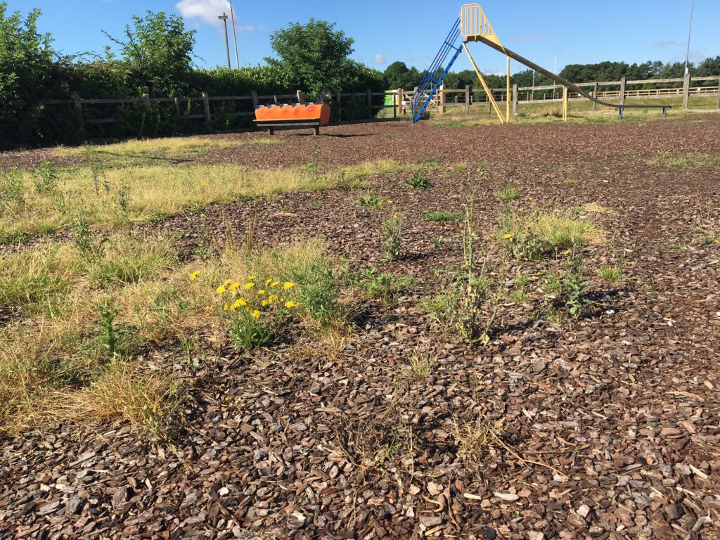 Playground clear up