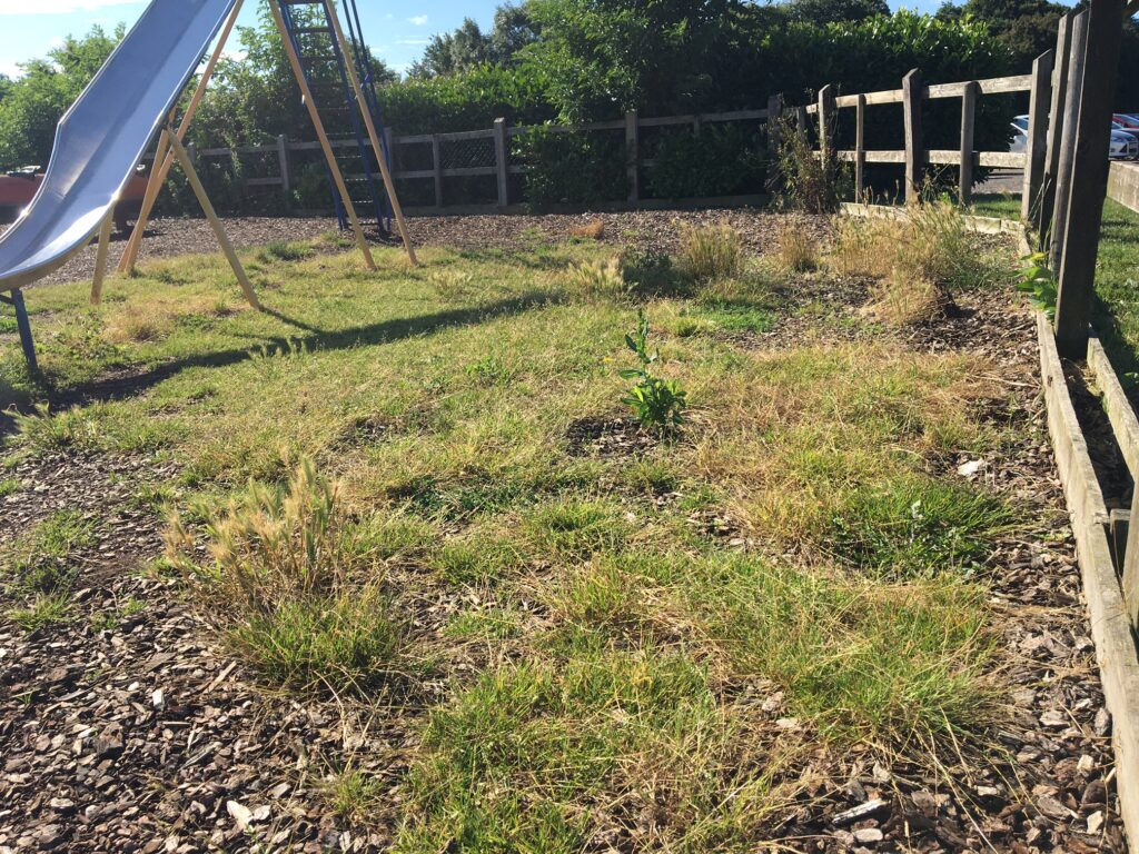 Playground clear up